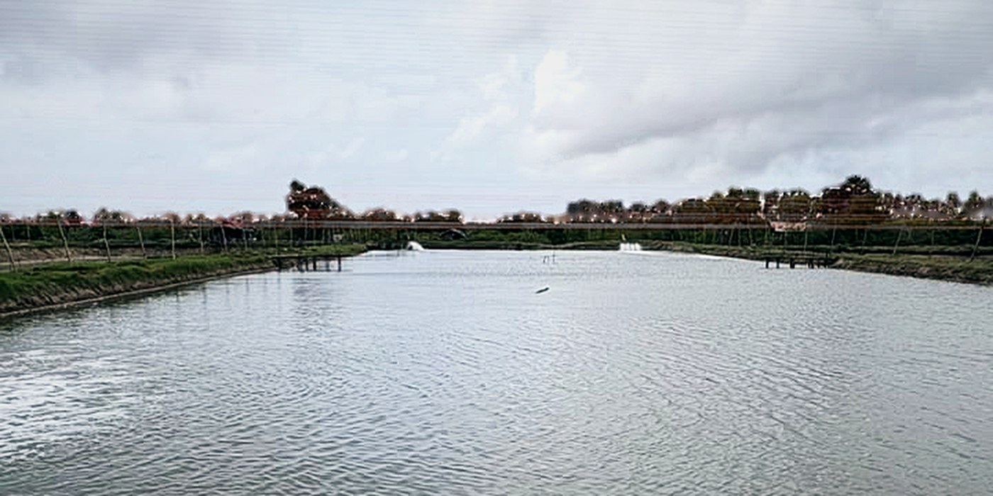 A long grow-out pond running toward the farm's far bund, with further ponds beyond